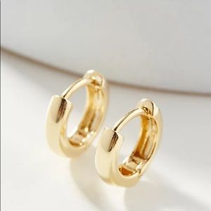 Anita Huggie Hoop Earrings